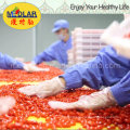 Medlar Dired Goji Berry Origined From Ningxia